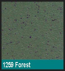 1259 Forest